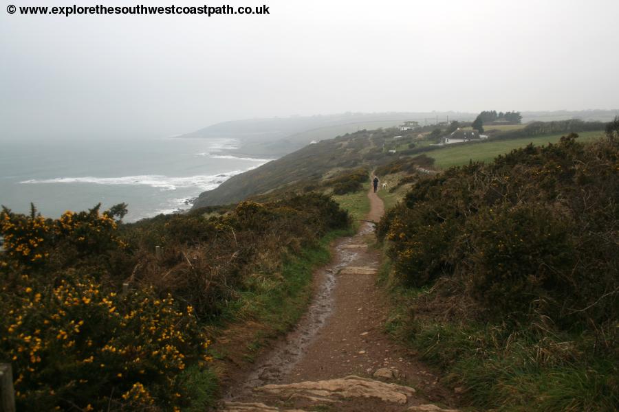 The coast path east of Wembury