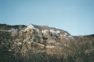 Cliffs near Beer Head