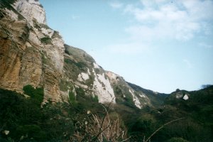 Cliffs near Beer head