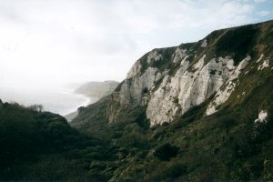 Cliffs near Beer Head