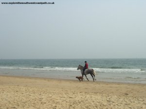 A horse on Studland Beach